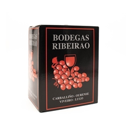 Box Tinto Joven 5 litros - Imagen 1