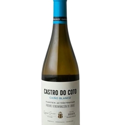 Castro do Coto Caíño - Imagen 1